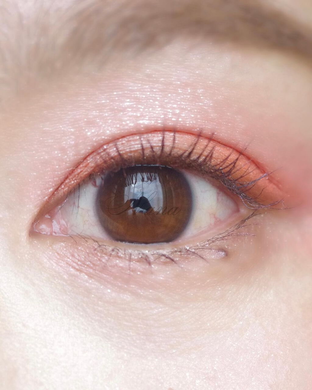 TOPARDS 1day/TOPARDS/ã¯ã³ããŒïŒïŒDAYïŒã«ã©ã³ã³ã䜿ã£ãã¯ãã³ãïŒ3æç®ïŒ