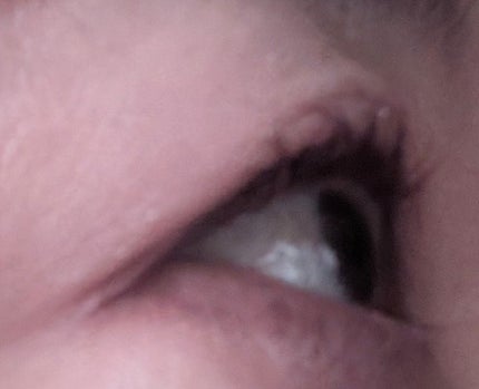 カールキープマジック/コーセーコスメニエンス/マスカラを使ったクチコミ(4枚目)