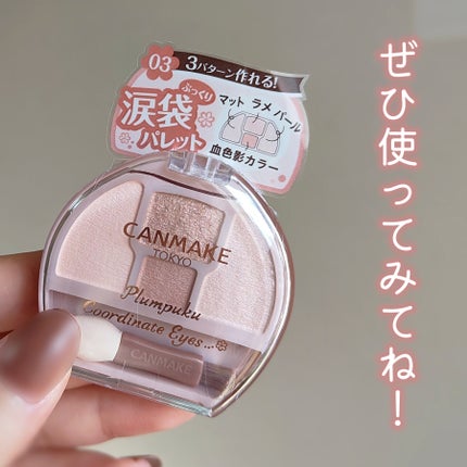 プランぷくコーデアイズ/キャンメイク/パウダーアイシャドウを使ったクチコミ(5枚目)