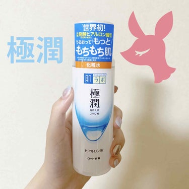 極潤ヒアルロン液（ハダラボモイスト化粧水d） 170mL/肌ラボ/化粧水を使ったクチコミ（1枚目）