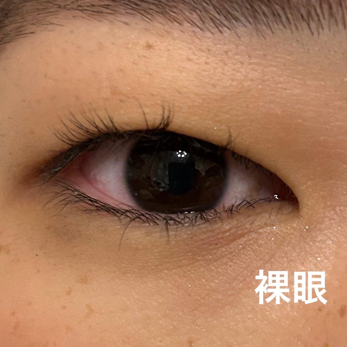 Secretive Kristen/Hapa kristin/カラーコンタクトレンズを使ったクチコミ(3枚目)
