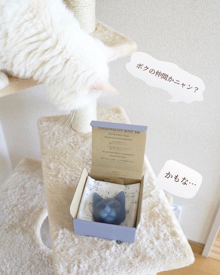 ハコイリネコ Biwa/9.kyuu(キュウ)/洗顔石鹸を使ったクチコミ(4枚目)