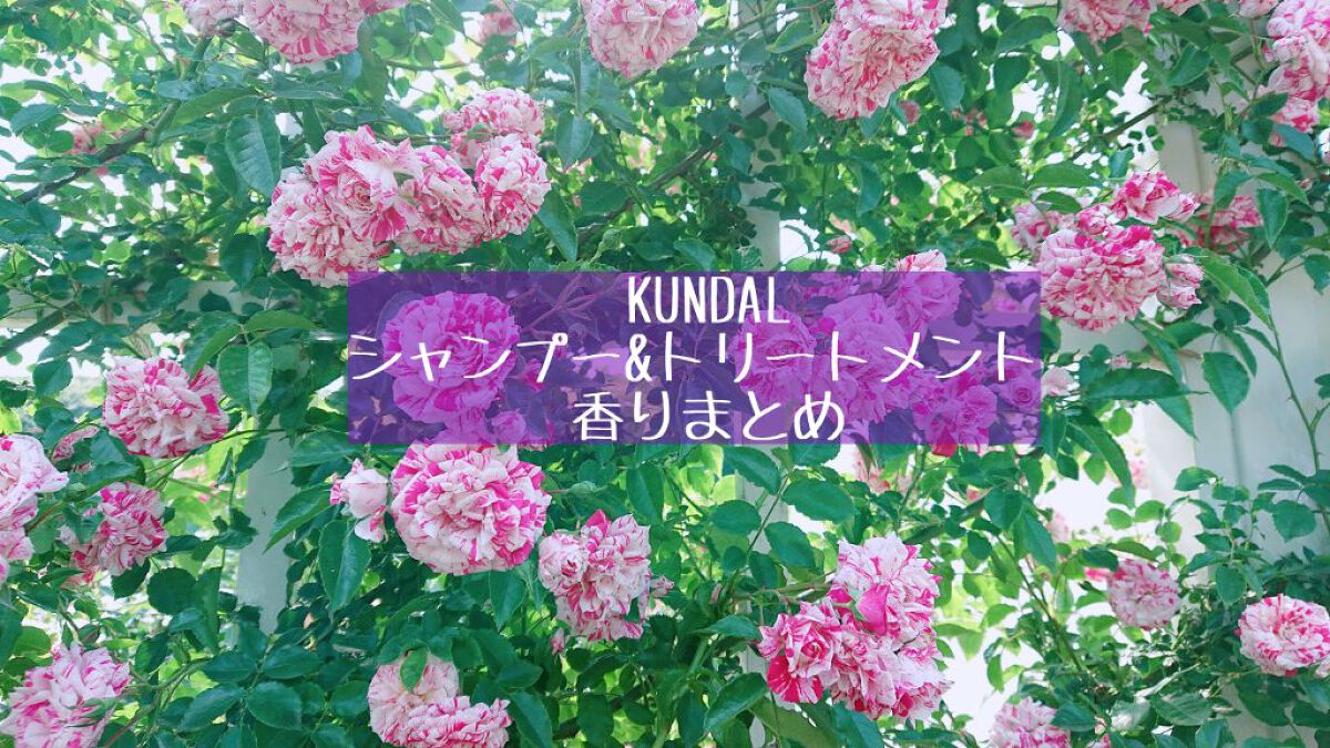 プロテイントリートメント/KUNDAL/コンディショナー単品を使ったクチコミ（1枚目）