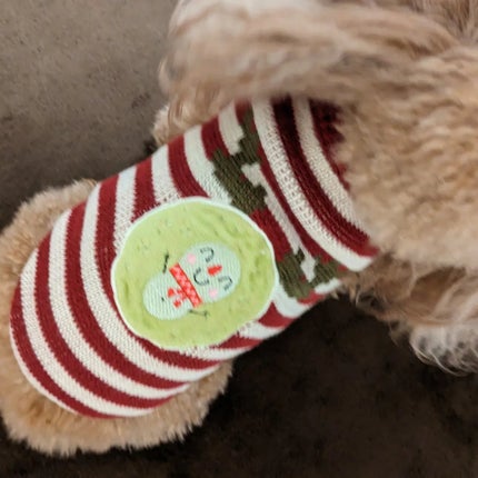 真紅 on LIPS 「LEAandRIO様の【雪だるまセーター】をお試しさせて頂きま..」(4枚目)