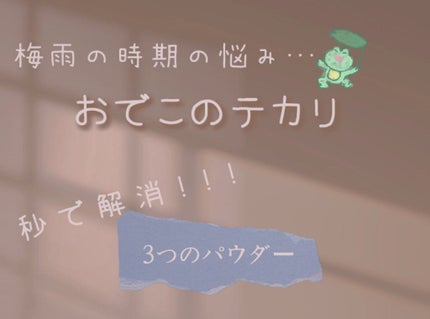 ノーセバム ミネラルパウダー/innisfree/ルースパウダーを使ったクチコミ(1枚目)