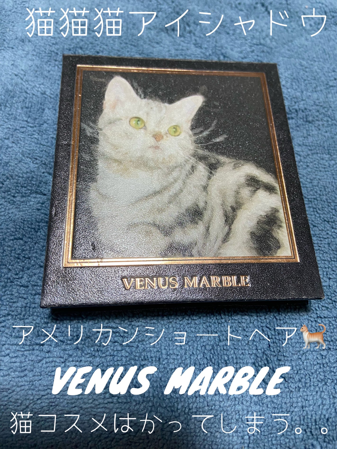 Venus Marble アイシャドウキャットシリーズ/Venus Marble/アイシャドウパレットを使ったクチコミ(1枚目)