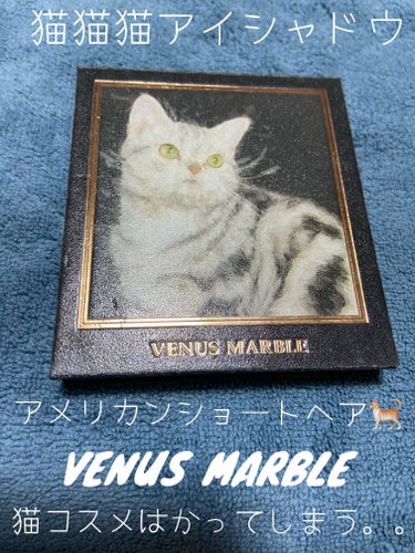 Venus Marble アイシャドウキャットシリーズ/Venus Marble/アイシャドウパレットを使ったクチコミ（1枚目）