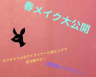 ジェミィリッチ アイズ/Visée/アイシャドウパレットを使ったクチコミ（1枚目）