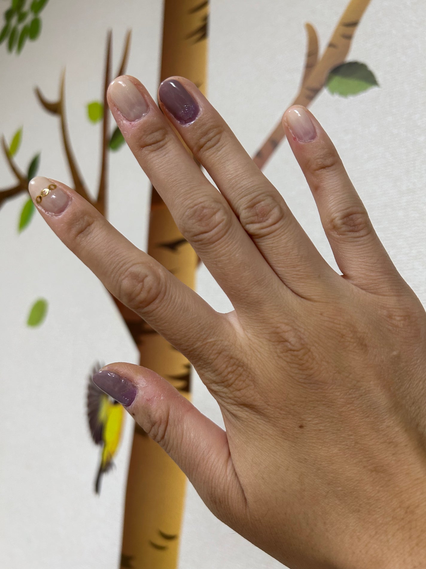 カラフルネイルズ/キャンメイク/マニキュアを使ったクチコミ(3枚目)