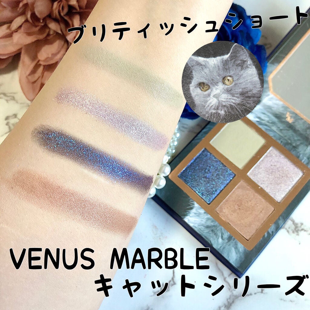 Venus Marble アイシャドウキャットシリーズ/Venus Marble/アイシャドウパレットを使ったクチコミ(4枚目)