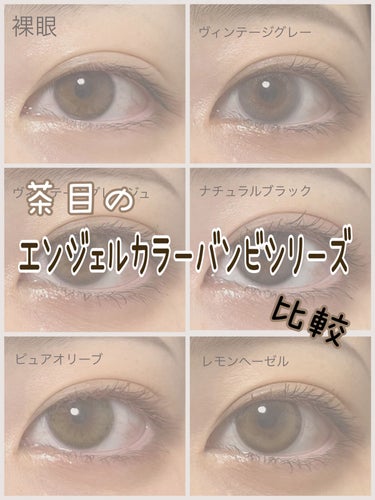 Angelcolor Bambi Series Vintage 1day/AngelColor/ワンデー（１DAY）カラコンを使ったクチコミ（1枚目）