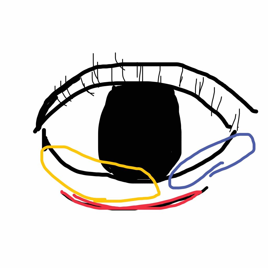 【旧品】パーフェクトスタイリストアイズ/キャンメイク/アイシャドウパレットを使ったクチコミ（3枚目）