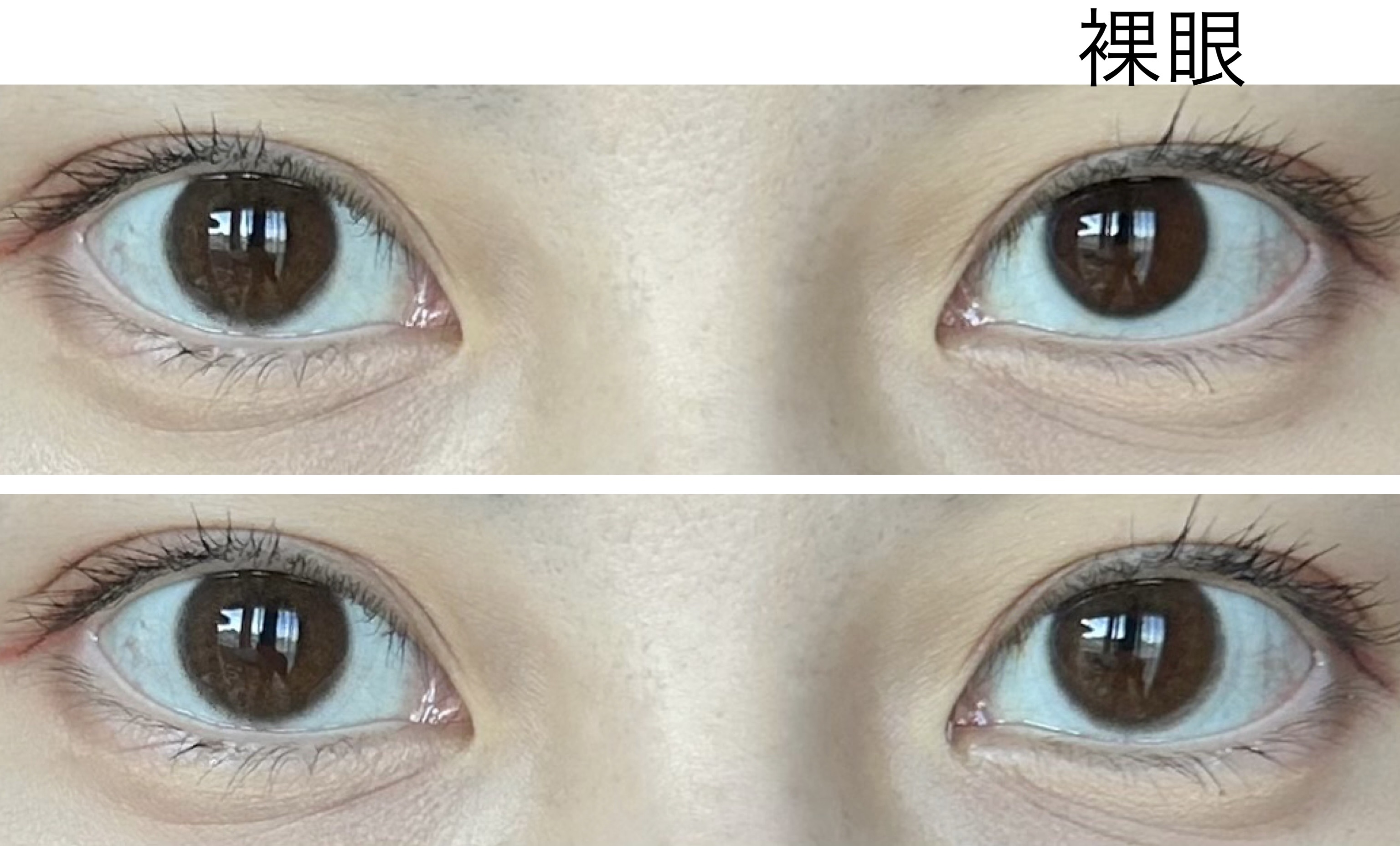 miium 1day/miium/ワンデー（１DAY）カラコンを使ったクチコミ（2枚目）