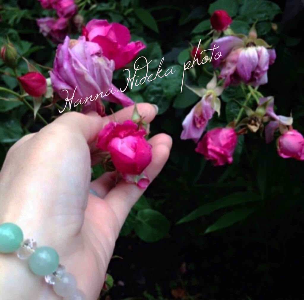 ðrincoðçŸèé£ç ç©¶å®¶ on LIPS ãâ¡9æ15æ¥â¡ïŒTue.ïŒðgoodmorningð#æå
#æ..ãïŒ1æç®ïŒ