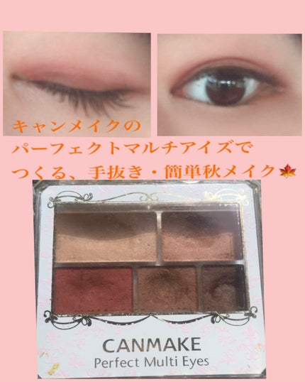 パーフェクトマルチアイズ/キャンメイク/アイシャドウパレットを使ったクチコミ(1枚目)