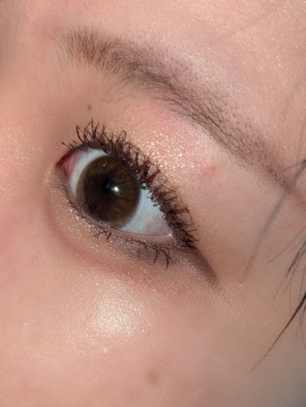 ゴクブトマスカラ 06 ビターブラウン/キャンメイク/マスカラの画像