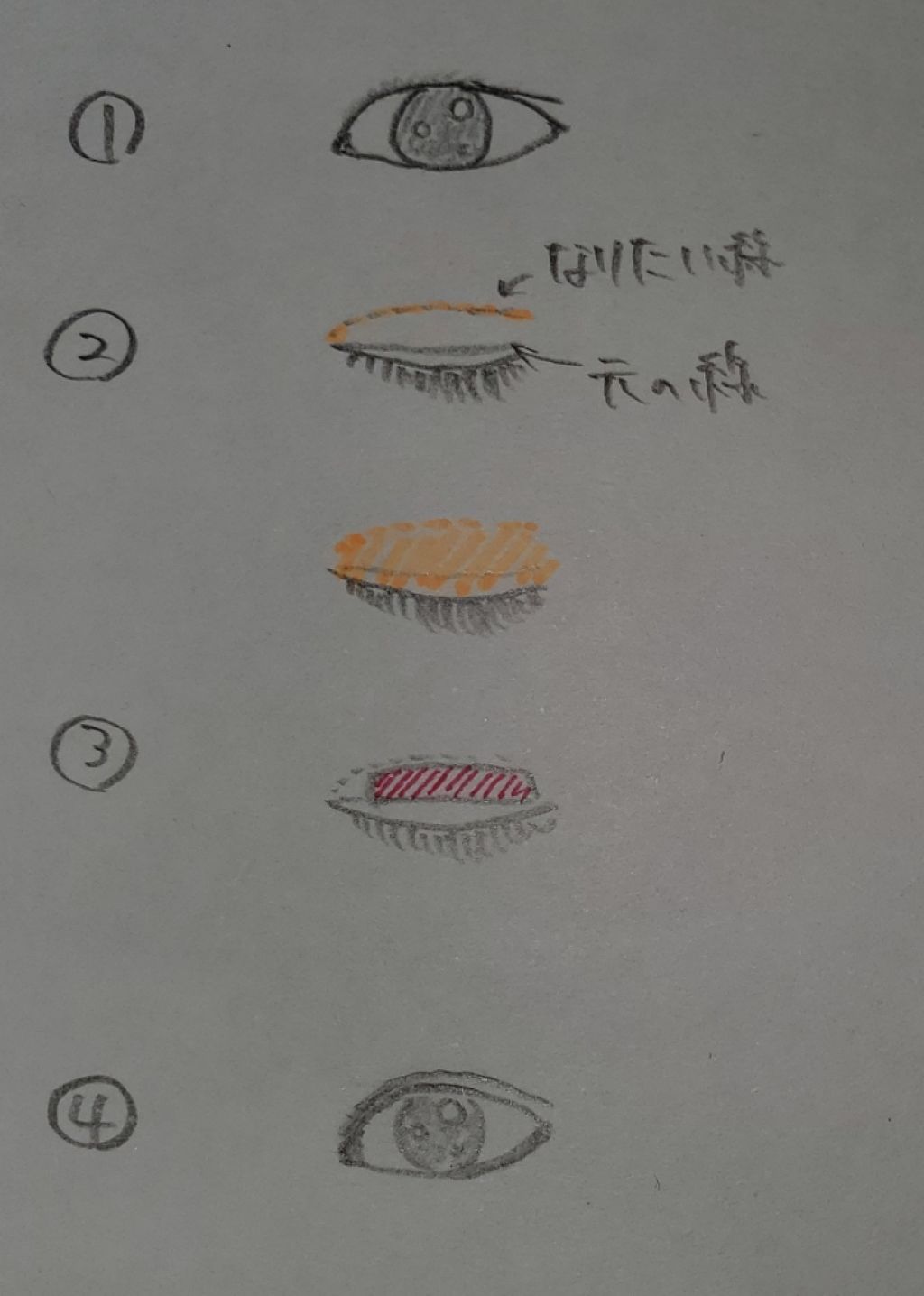 ハイブリッドフィルム/アイトーク/二重まぶた用アイテムを使ったクチコミ(3枚目)