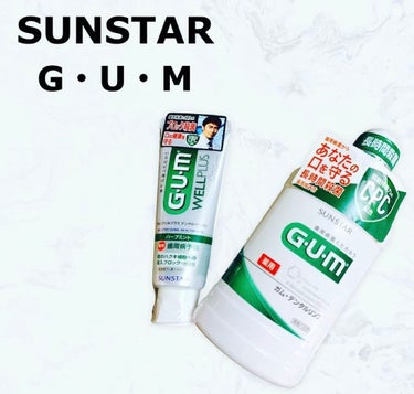 ガム・ウェルプラス デンタルペースト/GUM/歯磨き粉を使ったクチコミ（1枚目）