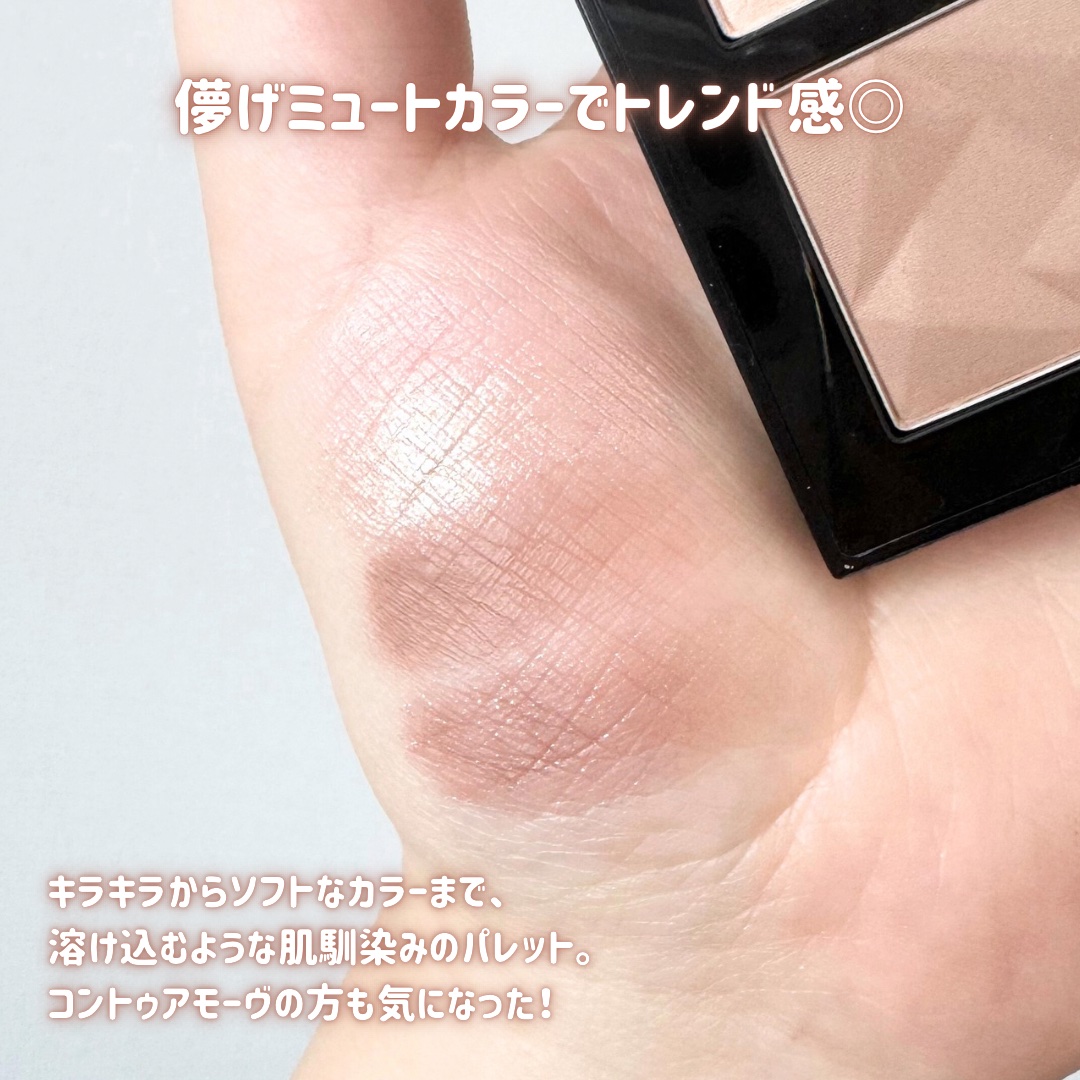 アイスカルプト/shu uemura/アイシャドウパレットを使ったクチコミ（3枚目）