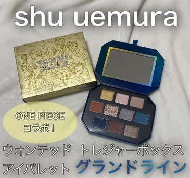 ウォンテッド トレジャーボックス アイパレット グランドライン/shu uemura/アイシャドウパレットを使ったクチコミ（1枚目）