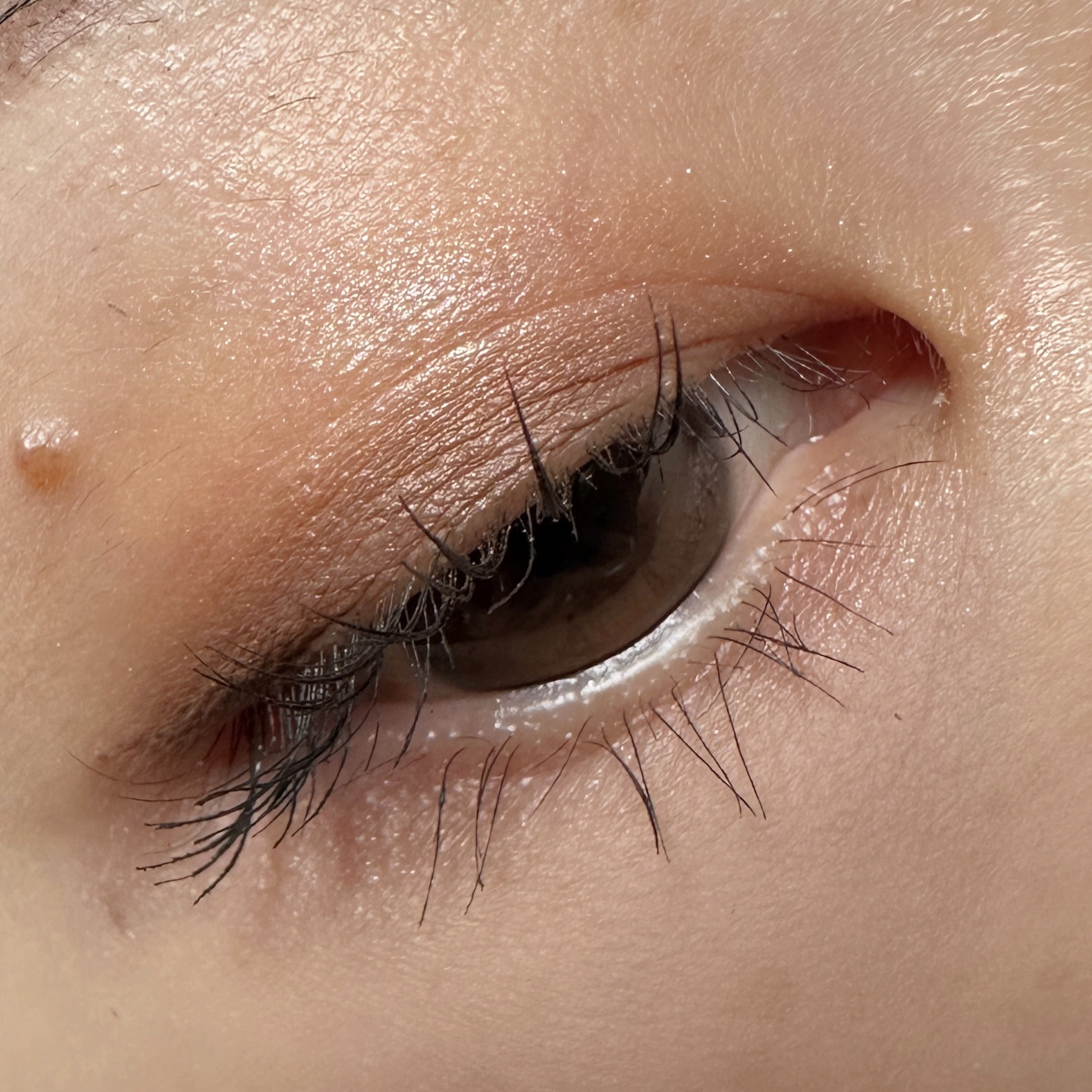 バイカラーアイズ/Enamor/アイシャドウパレットを使ったクチコミ（3枚目）