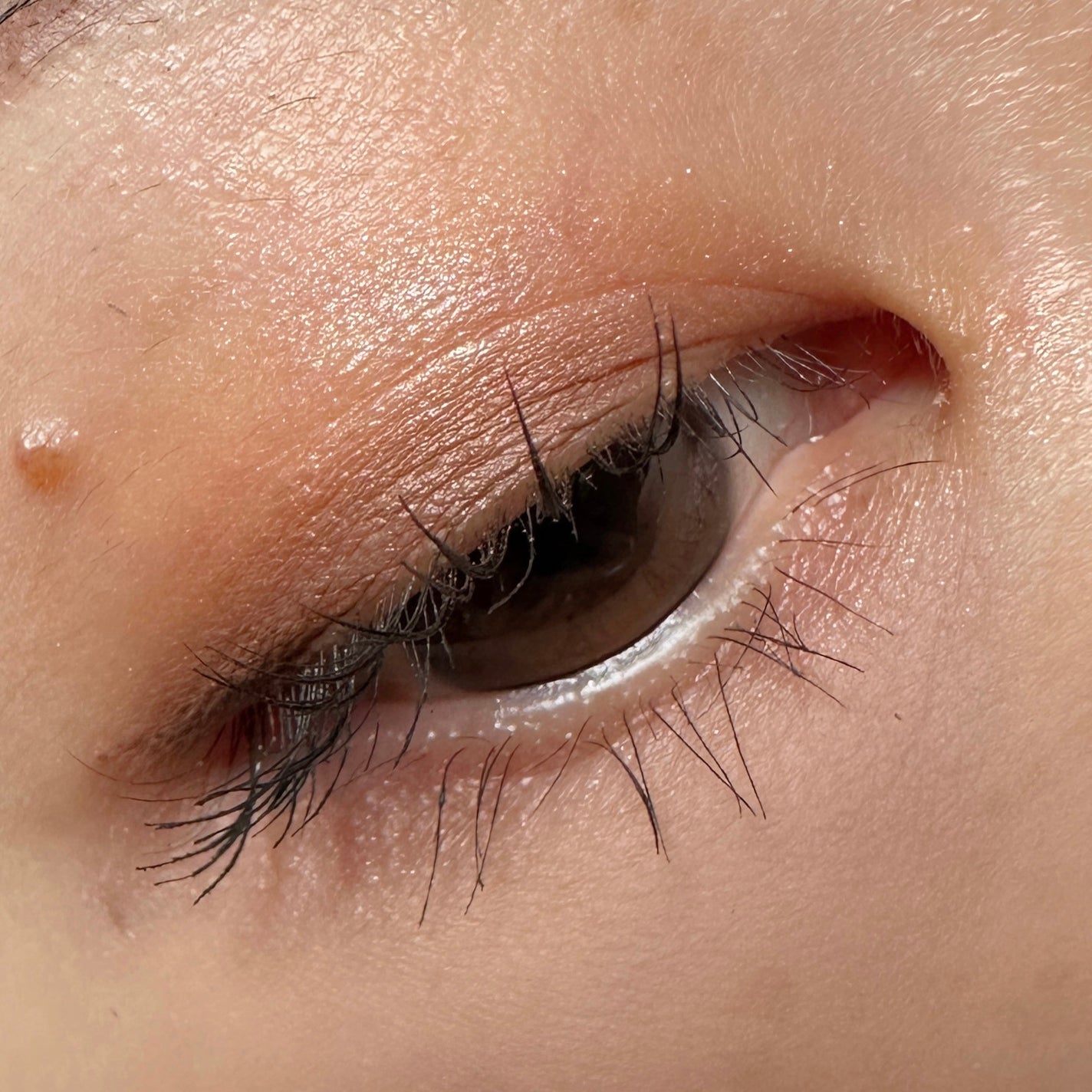 バイカラーアイズ/Enamor/アイシャドウパレットを使ったクチコミ(3枚目)