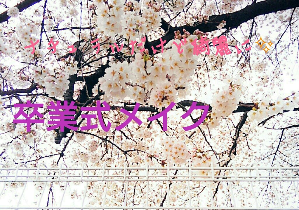 カラーミキシングコンシーラー/キャンメイク/パレットコンシーラーを使ったクチコミ（1枚目）