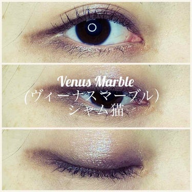 Venus Marble アイシャドウキャットシリーズ/Venus Marble/パウダーアイシャドウを使ったクチコミ（1枚目）