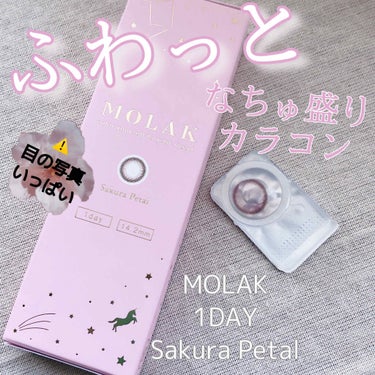 MOLAK 1day コーラルブラウン/MOLAK/ワンデー（１DAY）カラコンを使ったクチコミ（1枚目）