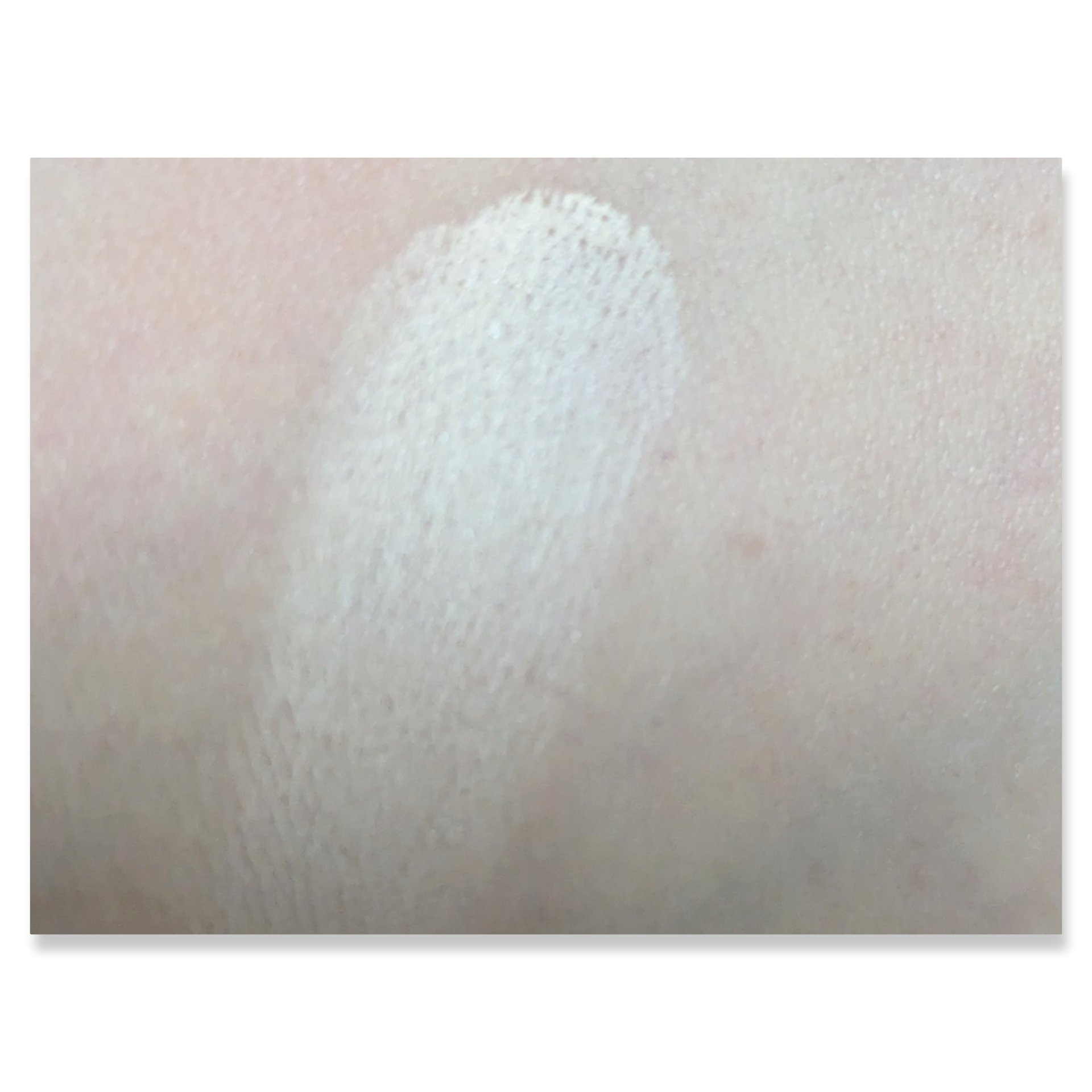 アイシャドウベース/Kirei&co./アイシャドウベースを使ったクチコミ（3枚目）