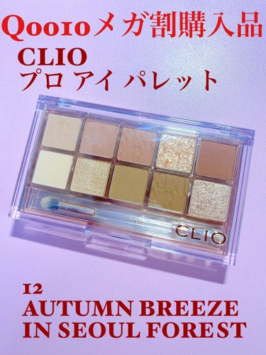 プロ アイ パレット/CLIO/パウダーアイシャドウを使ったクチコミ（1枚目）