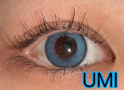 エバーカラーワンデー ナチュラル/エバーカラー/ワンデー(1DAY)カラコンを使ったクチコミ(6枚目)