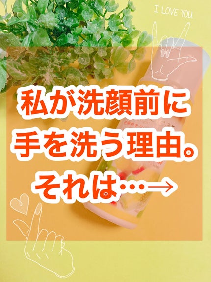 を使ったクチコミ(1枚目)