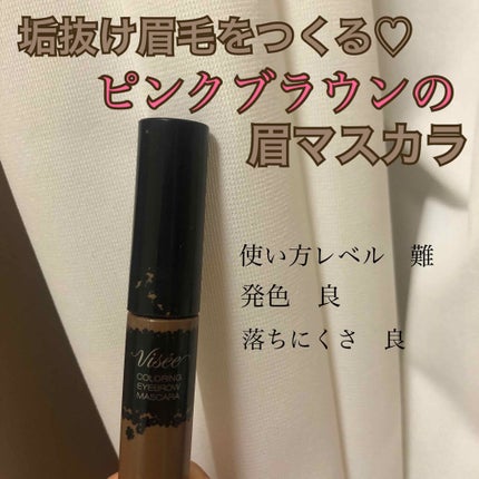 リシェ カラーリング アイブロウマスカラ/Visée/眉マスカラを使ったクチコミ(1枚目)