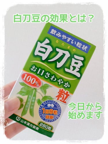 白刀豆粒(お口さわやか)/山本漢方製薬/健康サプリメントを使ったクチコミ（1枚目）