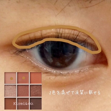 アイシャドウパレット/Kirei&co./アイシャドウパレットを使ったクチコミ(3枚目)