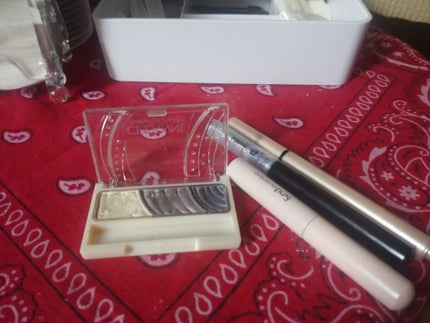 トーンアップアイシャドウ/CEZANNE/アイシャドウパレットを使ったクチコミ(1枚目)