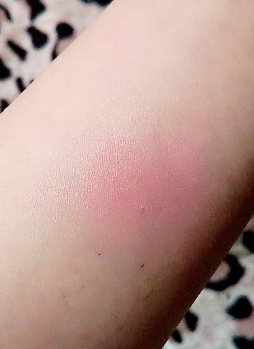 【旧品】パウダーチークス/キャンメイク/パウダーチークを使ったクチコミ（3枚目）