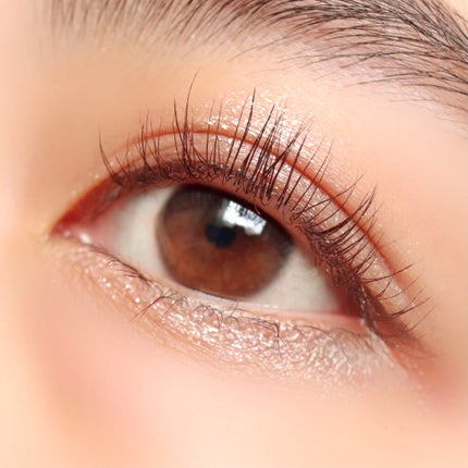 グロッシーリッチ アイズ N/Visée/アイシャドウパレットを使ったクチコミ(5枚目)