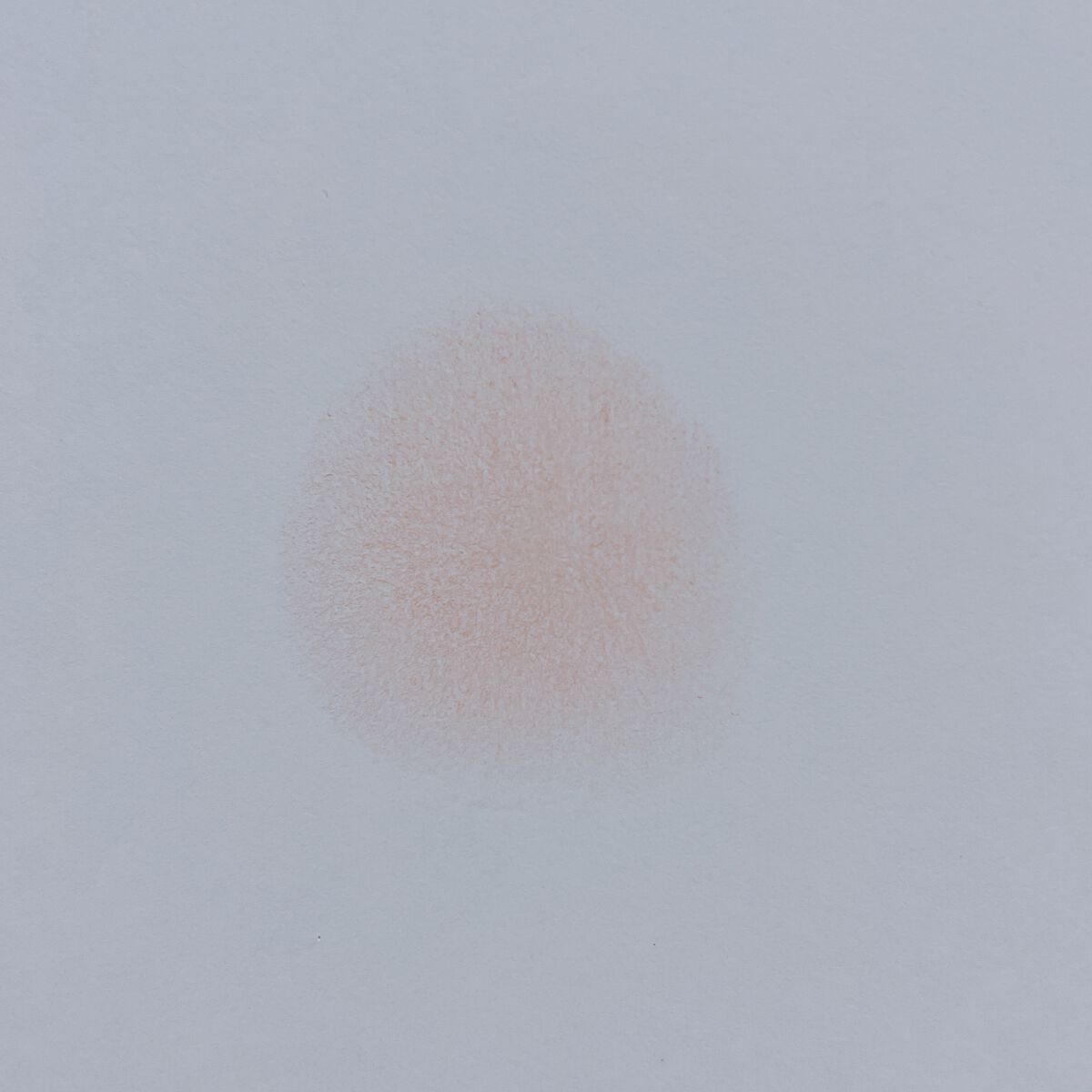 ピュアブラッシャー パフ付き/フォレンコス/パウダーチークを使ったクチコミ（3枚目）