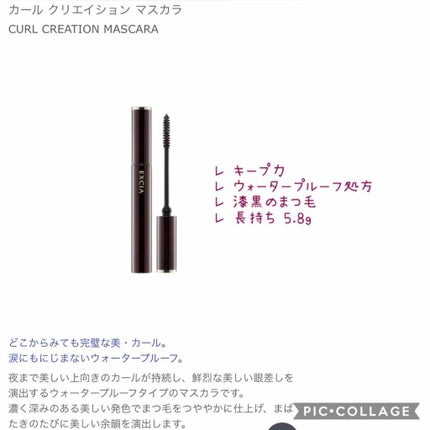 エクシアAL ラグジュリアスマスカラ/ALBION/マスカラを使ったクチコミ(3枚目)