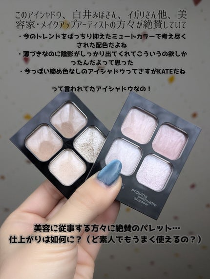 ケイト ポッピングシルエットシャドウ/KATE/アイシャドウパレットを使ったクチコミ(5枚目)