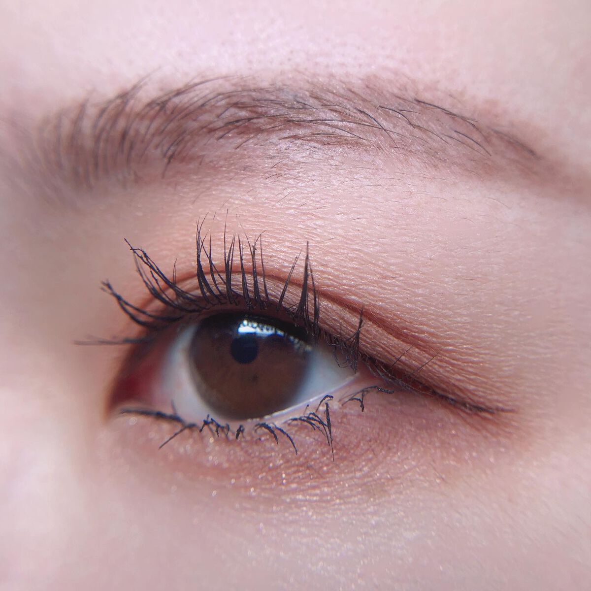 あゆみ on LIPS 「・\#todaysmake/・アイシャドウ☑@lilybyre..」(3枚目)