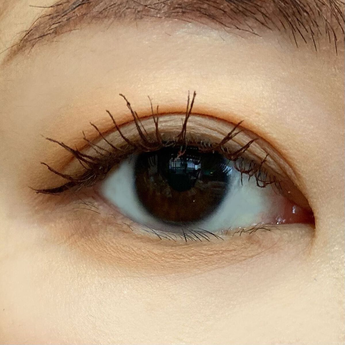 ツーステップマスカラWP/キングダム/マスカラを使ったクチコミ(4枚目)