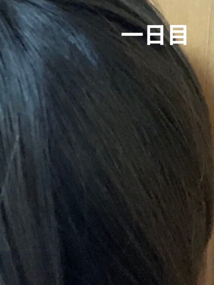 泡カラー/リーゼ/ヘアカラーを使ったクチコミ(2枚目)