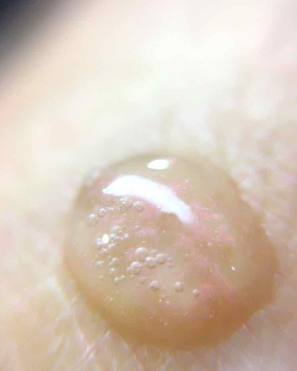 パール ファンデーション プライマー/PAUL & JOE BEAUTE/化粧下地を使ったクチコミ(2枚目)