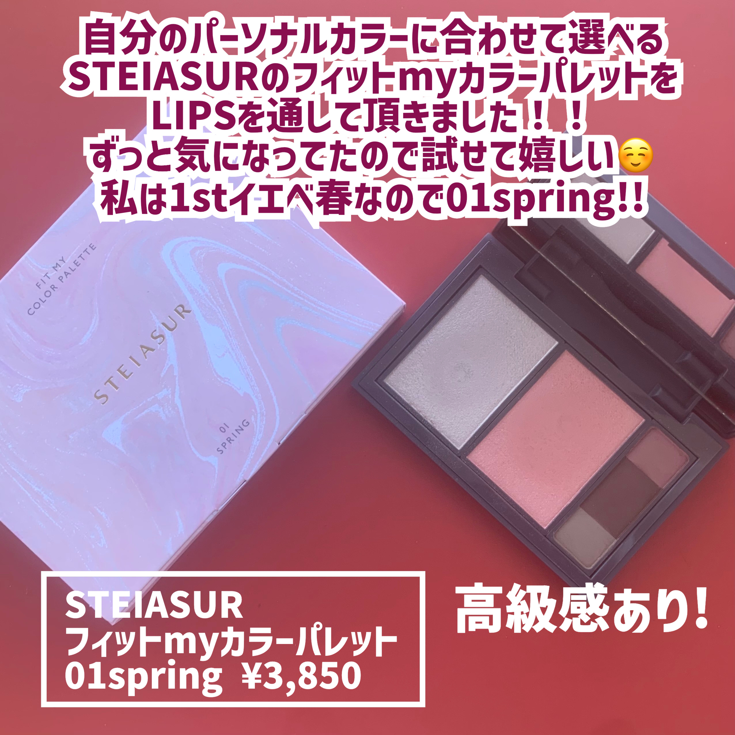 フィット my カラーパレット/STEIASUR（ステイアシュール）/マルチパレットを使ったクチコミ（2枚目）