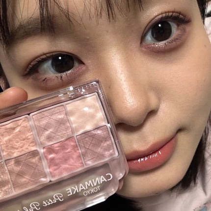 プティパレットアイズ(マットタイプ)/キャンメイク/パウダーアイシャドウを使ったクチコミ(6枚目)