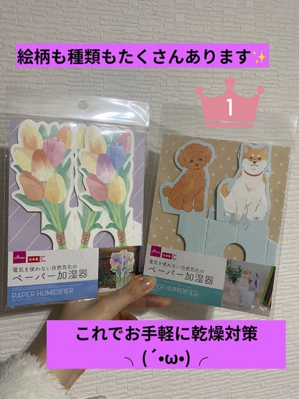 電気を使わない自然気化のペーパー加湿器/DAISO/その他を使ったクチコミ(6枚目)