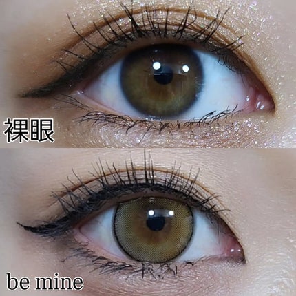 GAL NEVER DIE 1Day NEVER DIE (ネバーダイ) /GAL NEVER DIE/ワンデー(1DAY)カラコンの画像